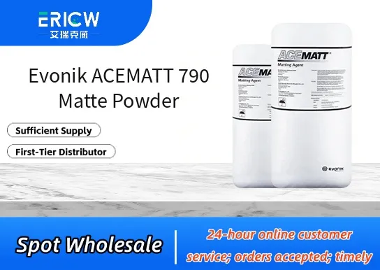 Evonik ACEMATT 790 Matte Powder