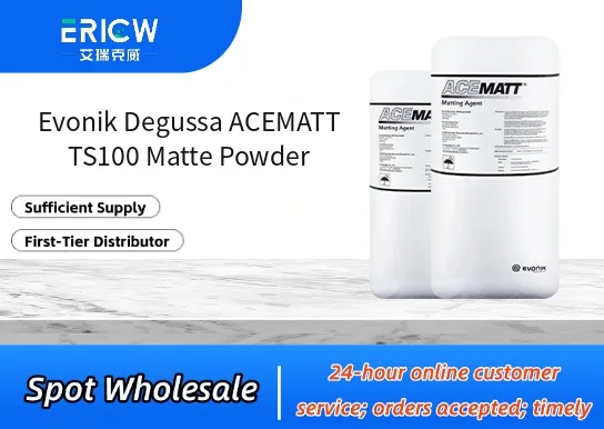 Evonik Degussa ACEMATT TS100 Matte Powder