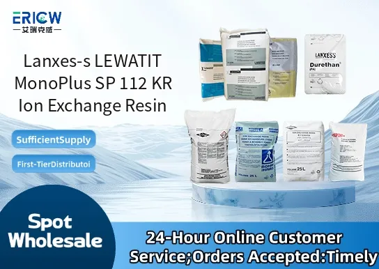 Lanxes-s LEWATIT MonoPlus SP 112 KR Ion Exchange Resin